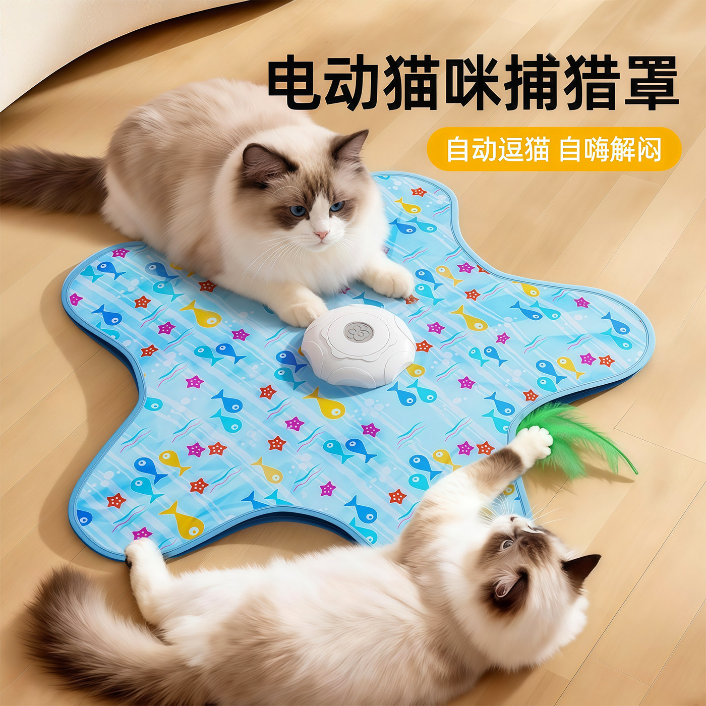 猫咪捕猎毯玩具自动转盘五角星玩具自嗨解闷逗猫棒宠物互动躲藏罩