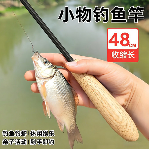 小物钓鱼竿溪流竿短节迷你新手杆