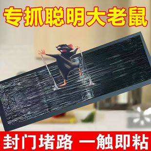 强力粘鼠板超大号强力捕鼠魔毯大老鼠捕鼠神器正品 家用透明老鼠贴