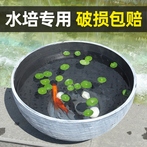 水培花盆睡莲铜钱草荷花盆漆扇缸