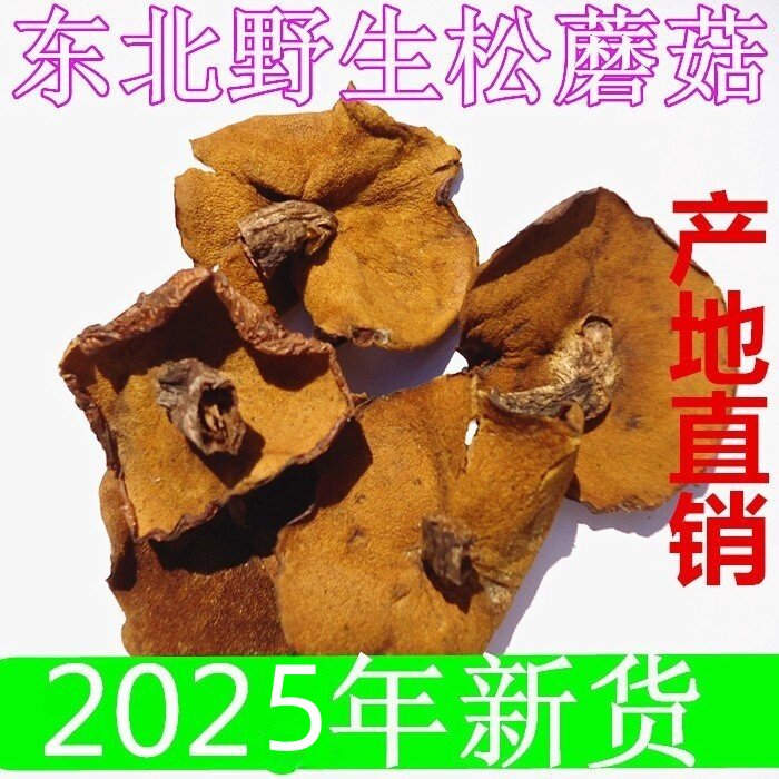 东北特产松蘑菇 野生松菇松蛾粘团子烘干货黄滑松茸牛肝菌1斤包邮