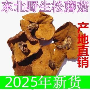 东北特产松蘑菇 野生松菇松蛾粘团子烘干货黄滑松茸牛肝菌1斤包邮