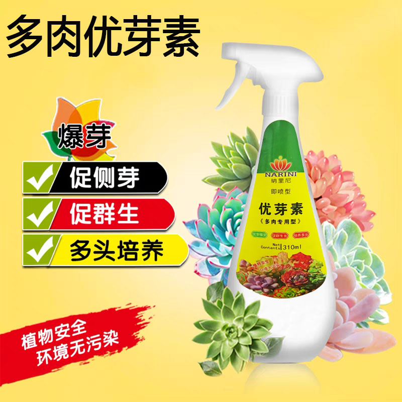 纳里尼多肉爆芽素优芽素