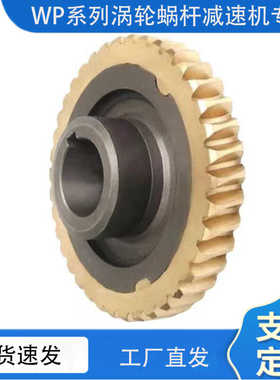 WPA WPS WPO WPX40 50 60 70 80 100 120减速机变速箱铜齿轮蜗轮