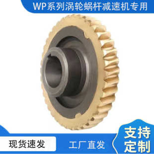 WPA WPS WPO WPX40 50 60 70 80 100 120减速机变速箱铜齿轮蜗轮