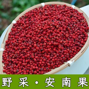 【野采安南果】干果泡茶泡水喝越南边境深山野采安南果中越边境