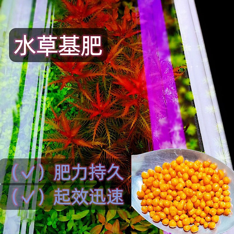 基肥水草泥根肥固体肥料鱼缸陶粒