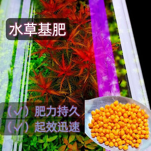 基肥水草泥根肥固体肥料鱼缸陶粒