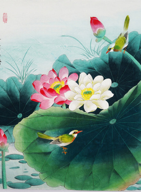 荷花国画纯手绘工笔画花鸟字画斗方客厅挂画香远图秦薇01145