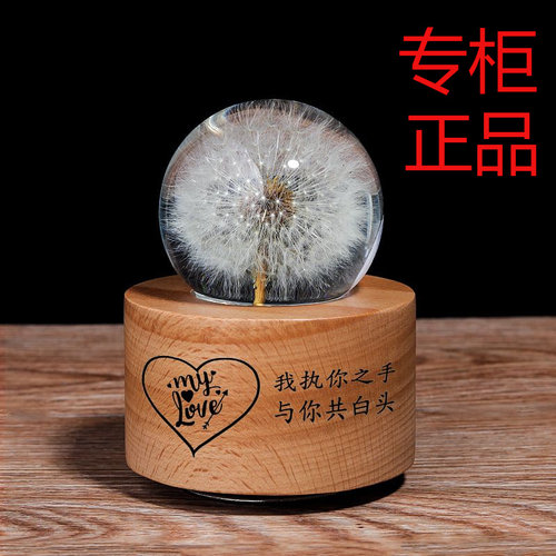 蒲公英标本发光水晶球音乐盒八音