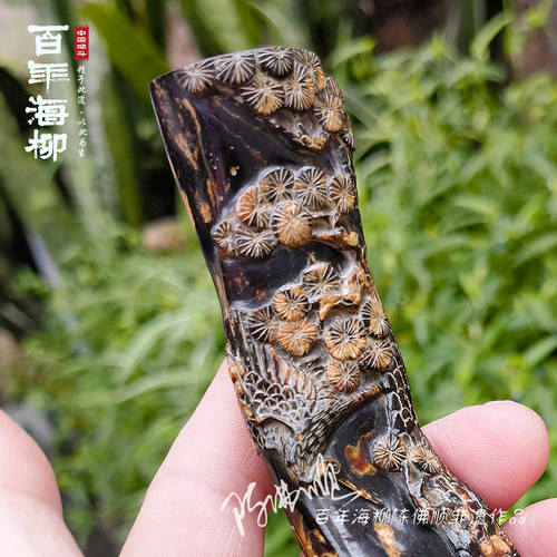 百年海柳循环使用粗细两用