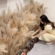 新品 芦苇干花花束真花客厅落地摆婚庆场景造型家具装 饰天然小芦苇