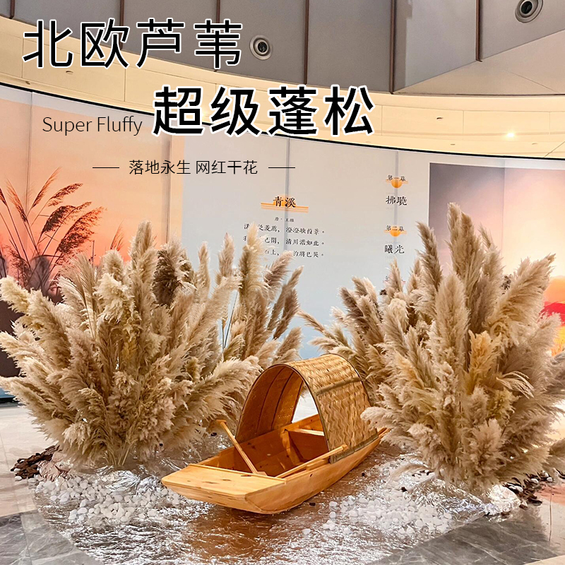 稻草人花艺芦苇干花价格低品质好