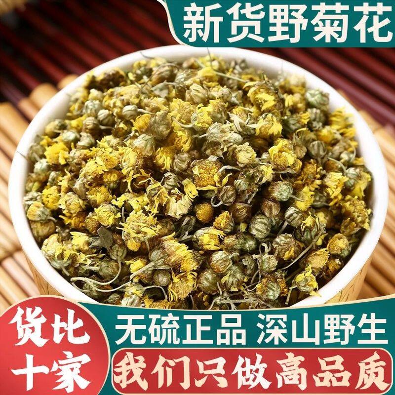 广西长寿山区野生小菊花特级当季新花胎菊苦干米菊泡水野菊花茶