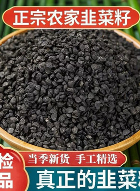正品野生韭菜籽枸杞茶中药材500g正宗男性韭菜子泡酒官方旗舰店