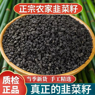 正品野生韭菜籽枸杞茶中药材500g正宗男性韭菜子泡酒官方旗舰店