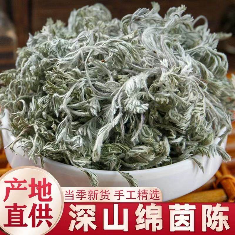 野生茵陈中药材正品官方旗舰店干货新鲜白蒿三月绵茵陈泡水喝因陈