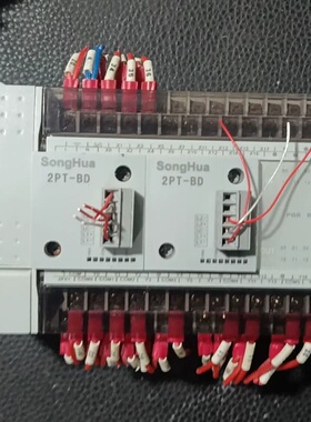 SongHua松华PLC TH100-A，带两个2PT-BD--议价商品