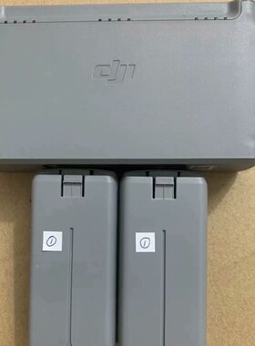 个人出售DJI大疆mini2mini2se电池，管家！--议价商品