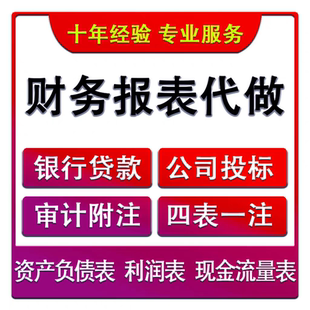 财务报表资产负债表利润表银行余额调节表个贷款招投标用