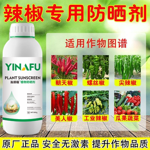 辣椒防晒剂专用辣椒日灼病专用药白皮保护剂耐高温补钙保果叶面肥