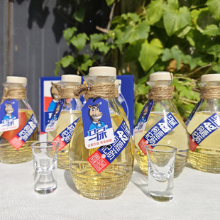 马尿酒42度枸杞鹿筋酒250ml*6瓶礼盒装东北特产礼品酒口粮酒玛枸