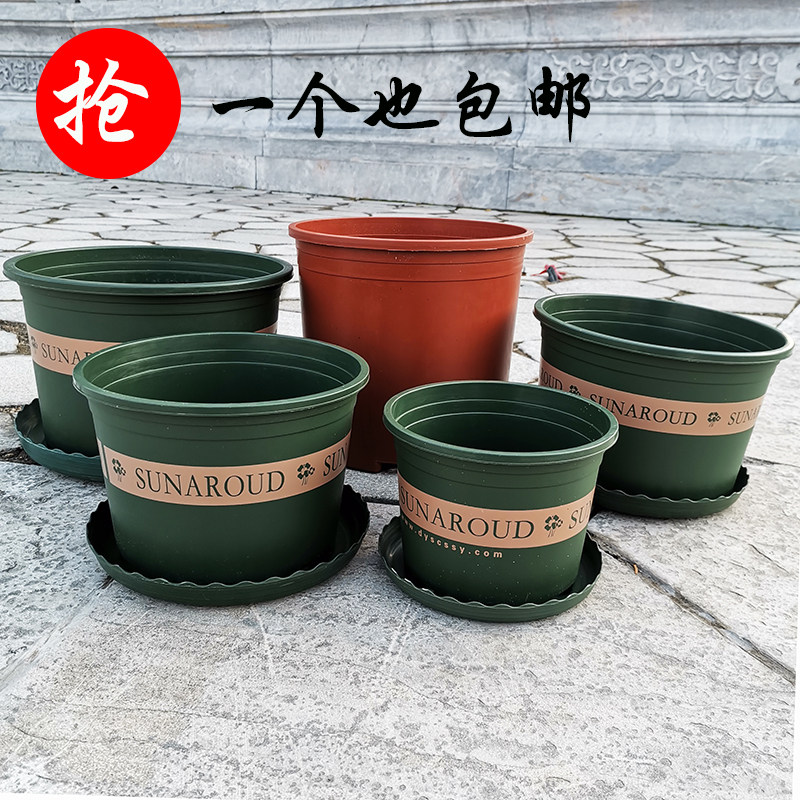 多肉矮胖小加仑塑料花盆加厚红绿花盆