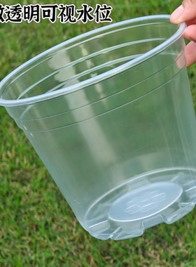 高透明花盆石斛大口径自吸水培懒人绿萝桌面盆栽简约塑料环保耐用