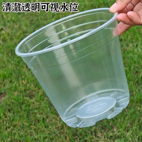 高透明花盆石斛大口径自吸水培懒人绿萝桌面盆栽简约塑料环保耐用