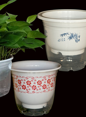 绿萝懒人花盆自吸水塑料透明吊兰盆栽植物水培储水盆双层免浇水