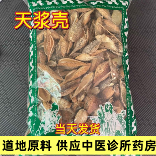 天浆壳罗摩果实中药材老瓜瓢子老偏方天将壳萝藦种子地梢瓜罗摩