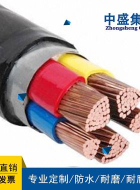 安徽天长市中盛变频电缆ZA-BPYJVTP2  3*185+3*35