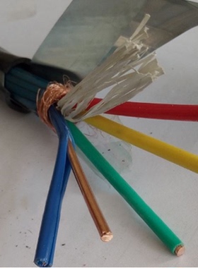 天长中盛电缆铝箔屏蔽钢带铠装计算机电缆DJVP3VP3-32 1*2*1.5