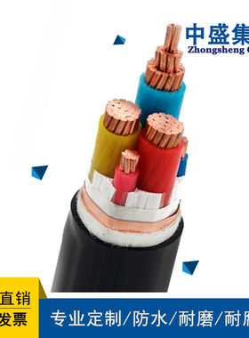 安徽天长中盛阻燃变频电缆ZR-BPYJVP12R-TK 3*25+3*4