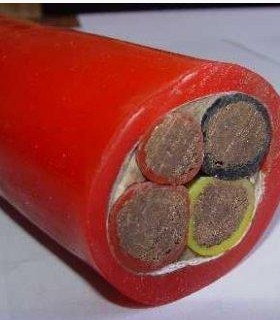 安徽天长中盛硅橡胶绝缘护套高温变频电力电缆 BPGGP 3*25+1