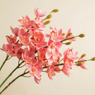 木南轻奢仿真蕙兰兰花仿真花轻奢高端手感摆件假花仿真花花束摆件