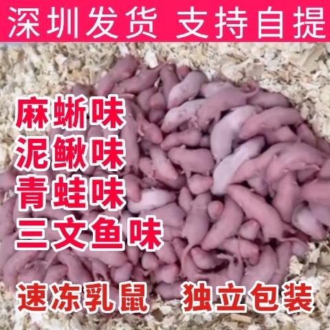 蛇苗不开食神器冰冻红皮乳鼠喂蛇小白鼠饲料麻蜥青蛙泥鳅三文鱼味