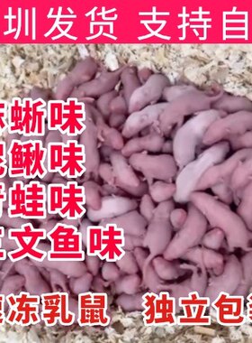 广东深圳冰冻红皮乳鼠喂蛇