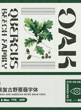 ZT22欧美复古野蔷薇英文字体FONT海报广告化妆品包装平面设计素材