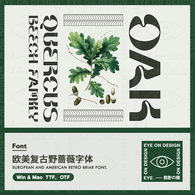ZT22欧美复古野蔷薇英文字体FONT海报广告化妆品包装平面设计素材