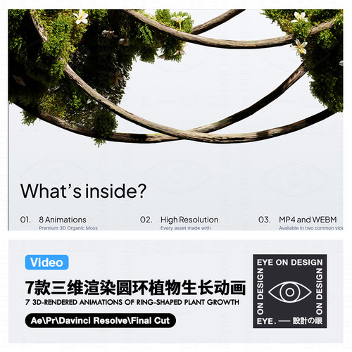 3D植物生态动画素材苔藓森林自然环境背景循环场景web视频资源包