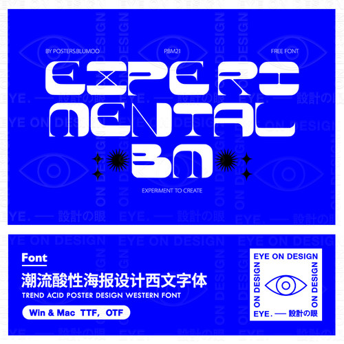 ZT37潮流复古酸性逆反差LOGO海报标题衬线体西文TTF英文字体素材