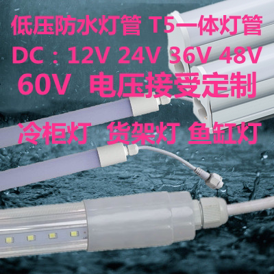 鱼缸T5低压LED灯管12V图片