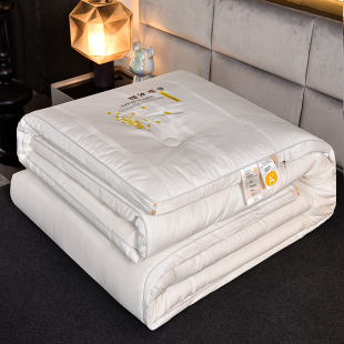 A类母婴级大豆纤维被子冬被芯加厚保暖棉被春秋被单双人四季 通用