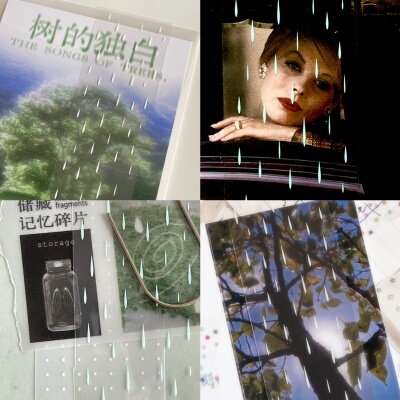 soii手帐分装|fancyfancyfancy pet胶带《落雨》