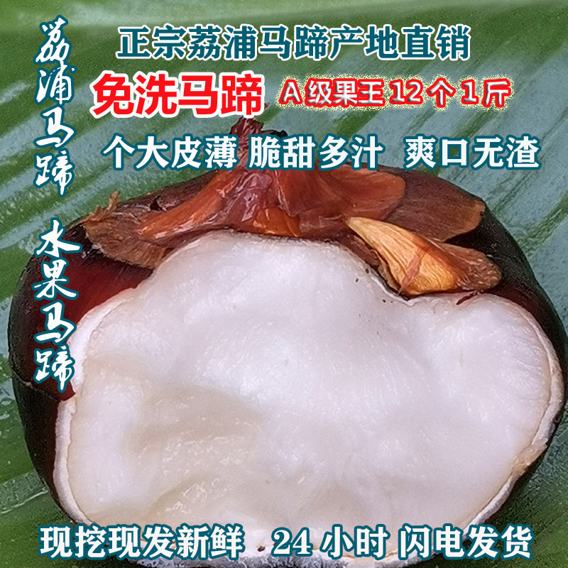 个大包甜溪水清洗开箱即食 正宗荔浦马蹄水果马蹄加冰发货