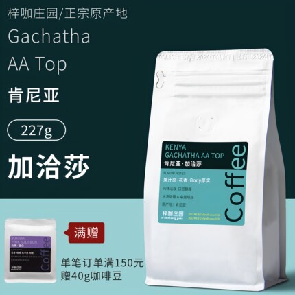 梓咖庄园新鲜烘焙肯尼亚加洽莎水洗处理精品意式手冲咖啡豆227g