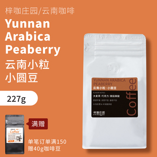 梓咖庄园新鲜烘焙云南保山小粒咖啡豆精品小圆豆手冲咖啡豆227克
