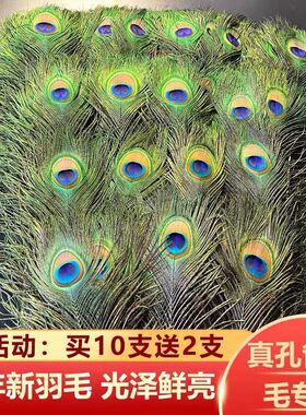 孔雀翎羽毛真毛diy材料装饰插瓶插花摆件家居桌面摆设供佛孔雀毛