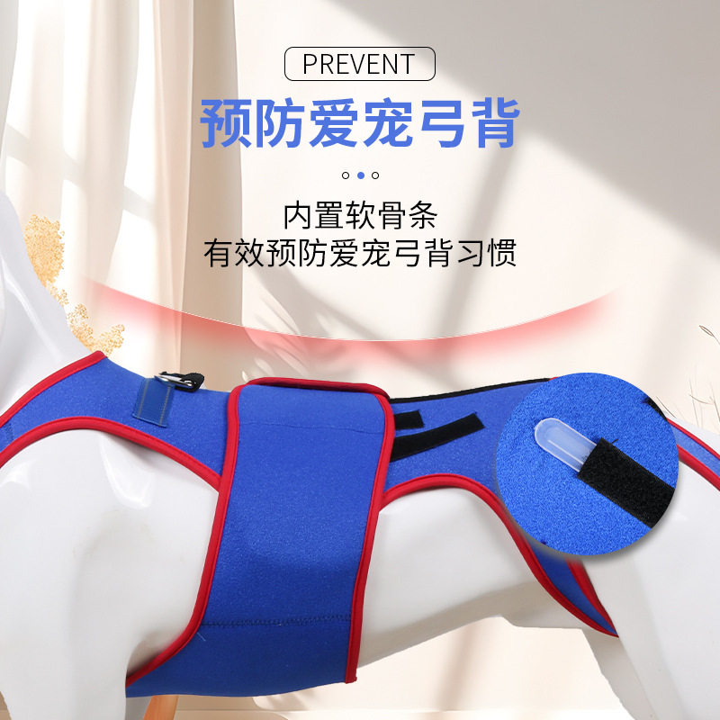 宠物狗大中小型犬颈椎支撑服可牵引安抚背心情绪预防颈椎病胸背带